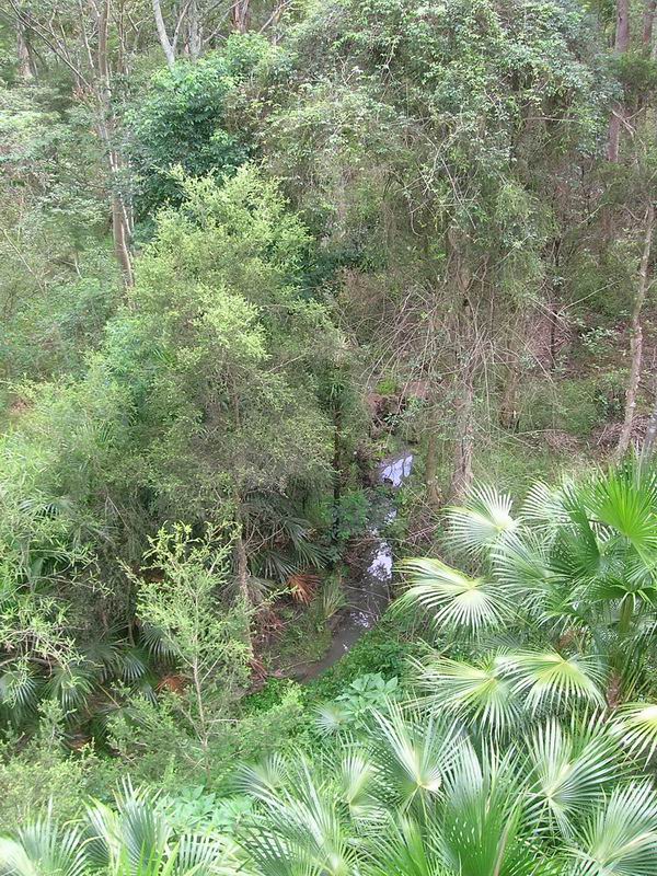 australien09.jpg